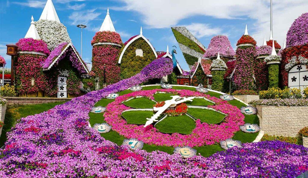 Dubai Miracle Garden AR04082021 5 e1716954599944