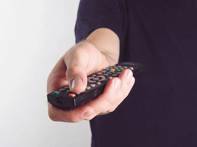 كيف تختار خدمة الستريمنج المناسبة لك: دليل كامل 2024 1 hand 2773840 640
