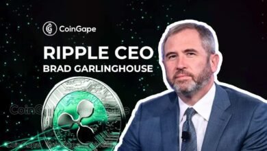 Ripple CEO Brad Garlinghouse