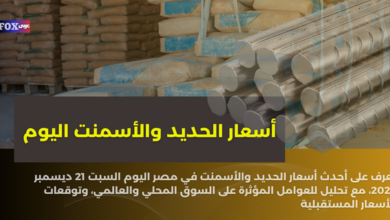 أسعار الحديد والأسمنت اليوم السبت 21 ديسمبر