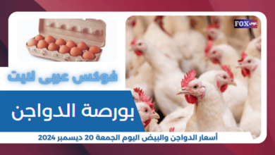 أسعار الدواجن والبيض اليوم الجمعة 20 ديسمبر 2024