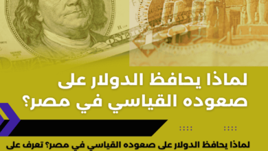 لماذا يحافظ الدولار على صعوده القياسي في مصر